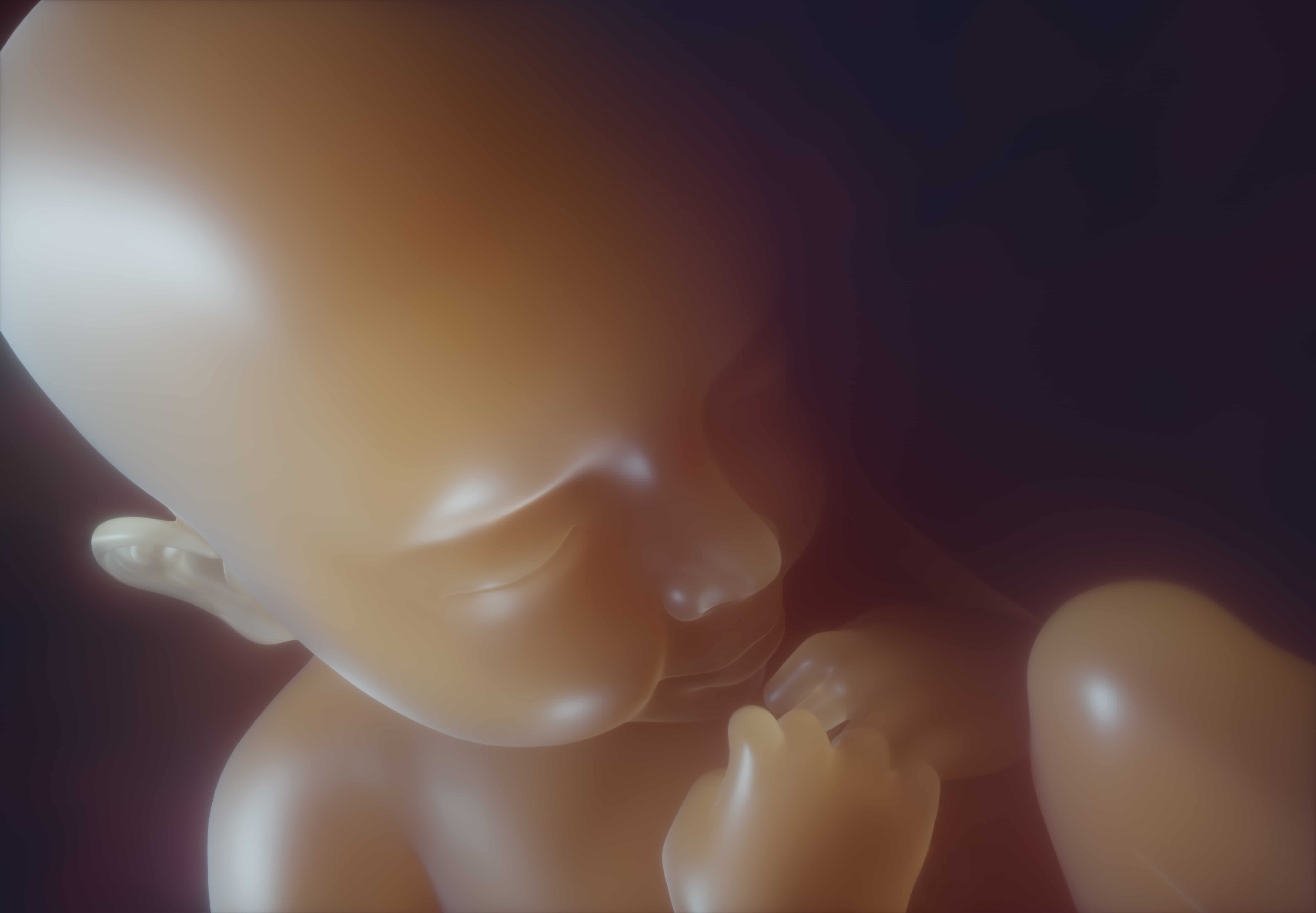 Fetal USG